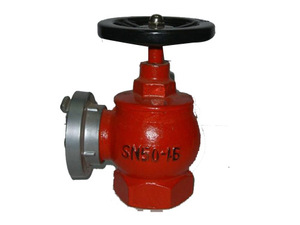 室内消火栓SN50